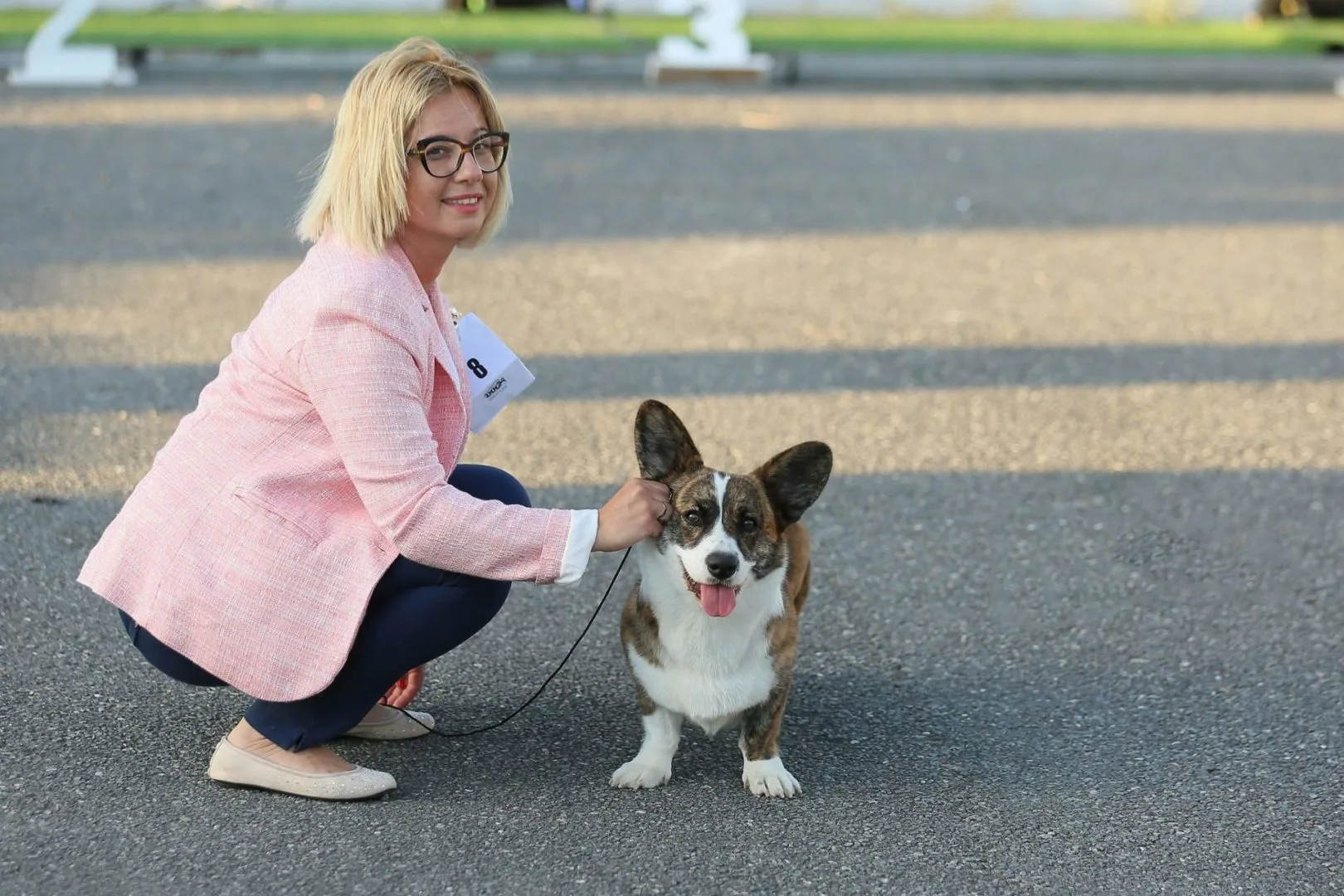 Corgi Kalamata CACIB Show 2022 Corgi Kalamata CACIB Show 2022