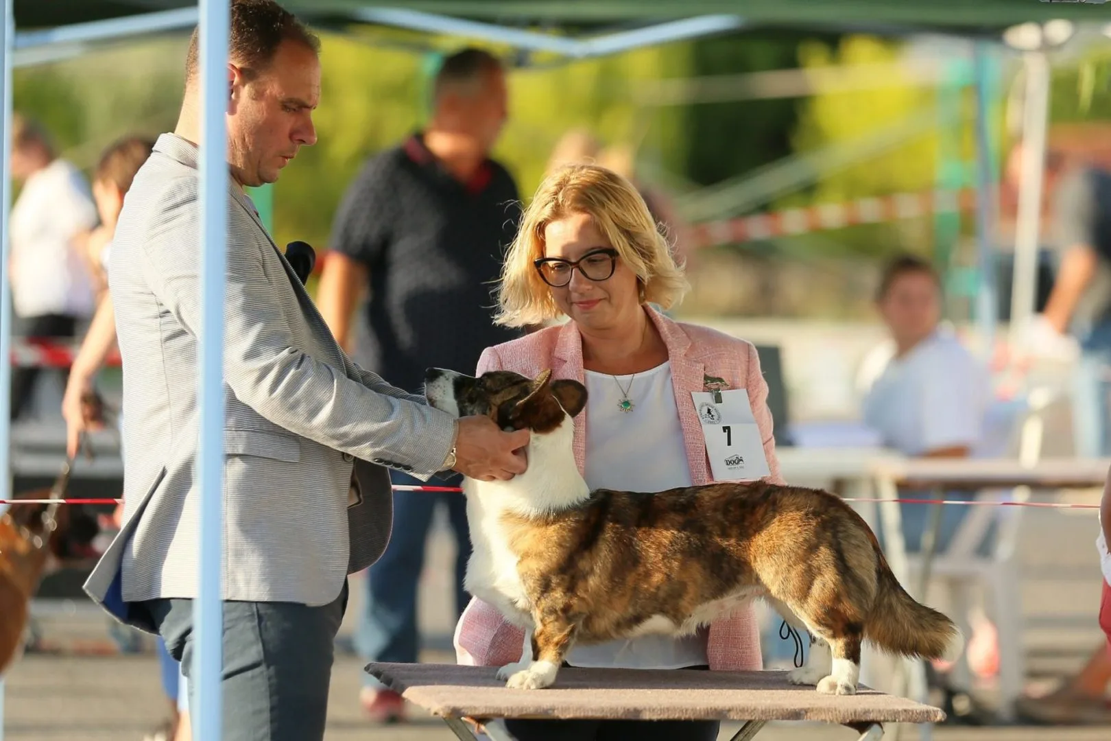 Corgi Kalamata CACIB Show 2022