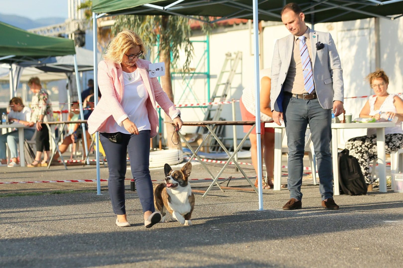 Corgi Kalamata CACIB Show 2022
