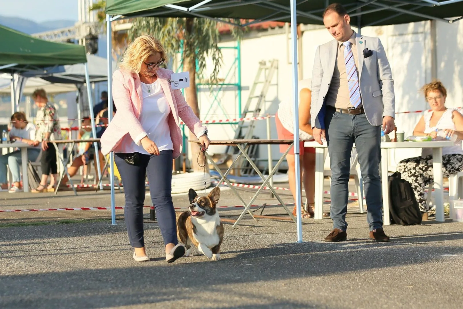 Corgi Kalamata CACIB Show 2022 Corgi Kalamata CACIB Show 2022