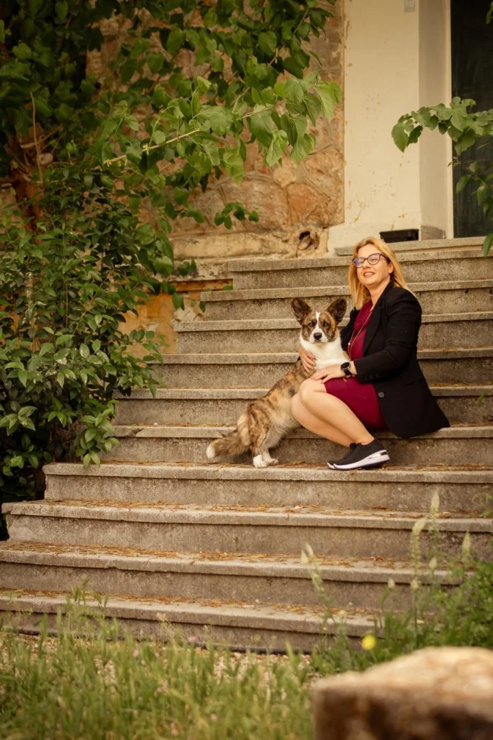 αναγνωρισμένο εκτροφείο κόργκι