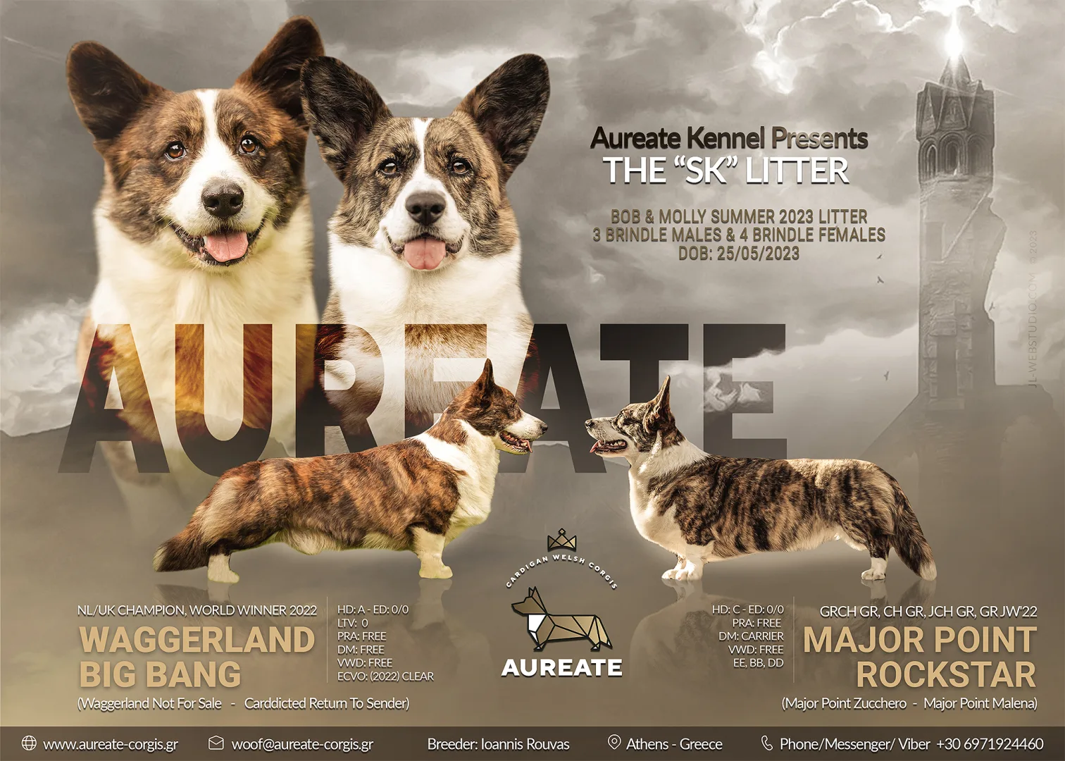 corgi puppies in greece Διαθεσιμα κουταβια κοργκι στην Ελλαδα