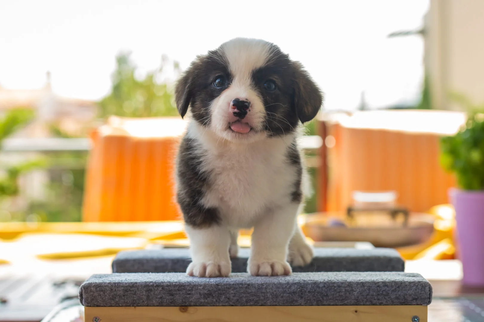 03 AUREATE EVERYTHINGS EVENTUAL 002 03 AUREATE EVERYTHINGS EVENTUAL 002