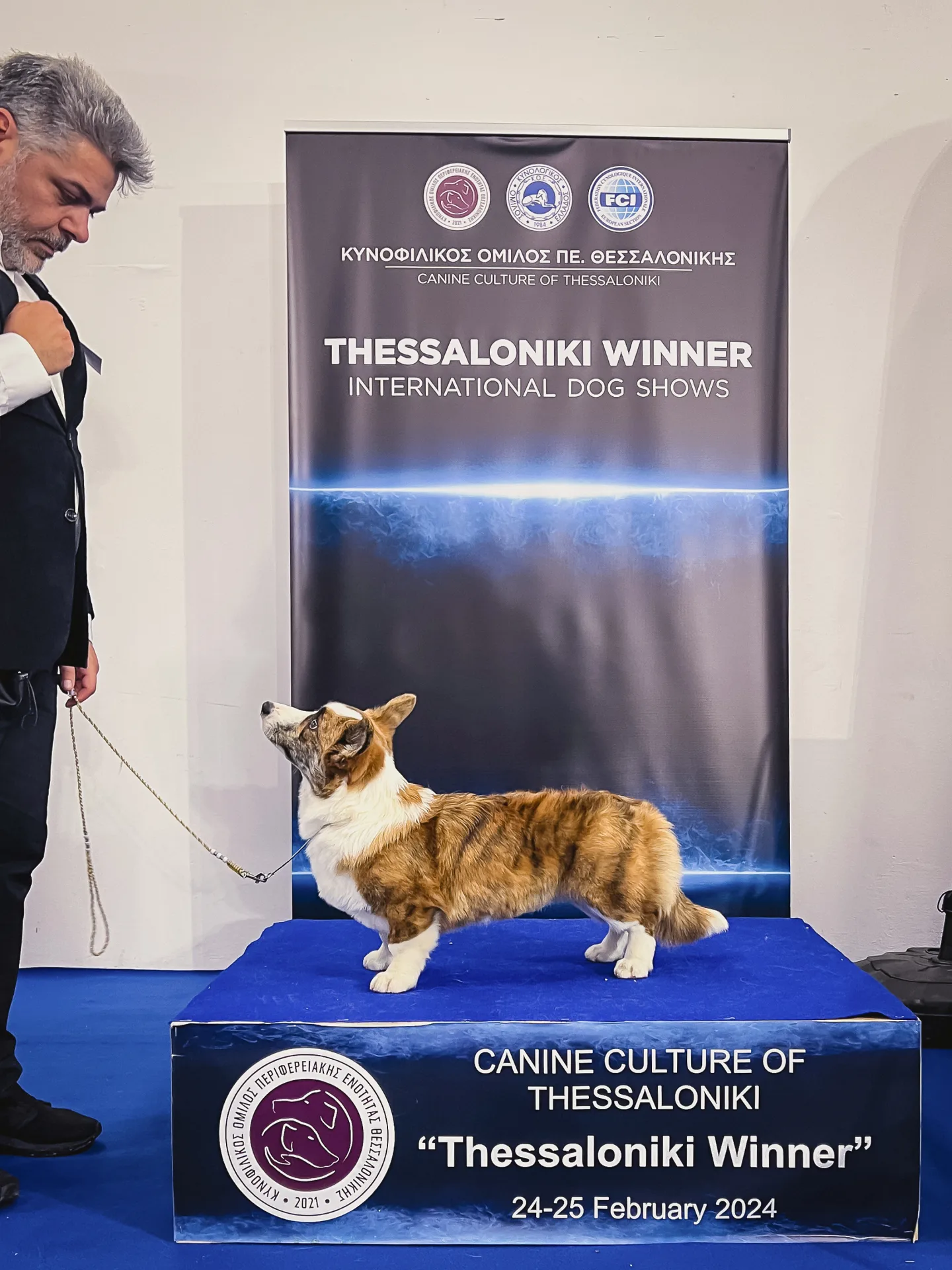 aureate rose the hat thessaloniki aureate rose the hat thessaloniki