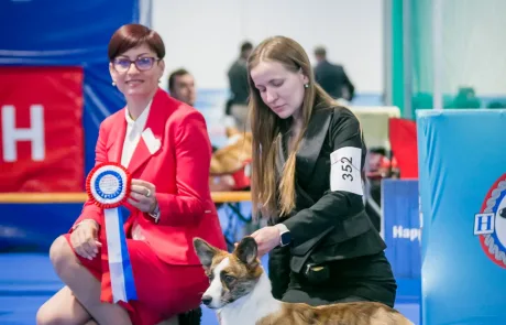 aureate rose the hat zagreb 2 aureate rose the hat zagreb 2