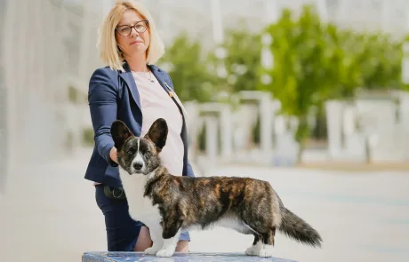 aureate crimson king web1 aureate crimson king